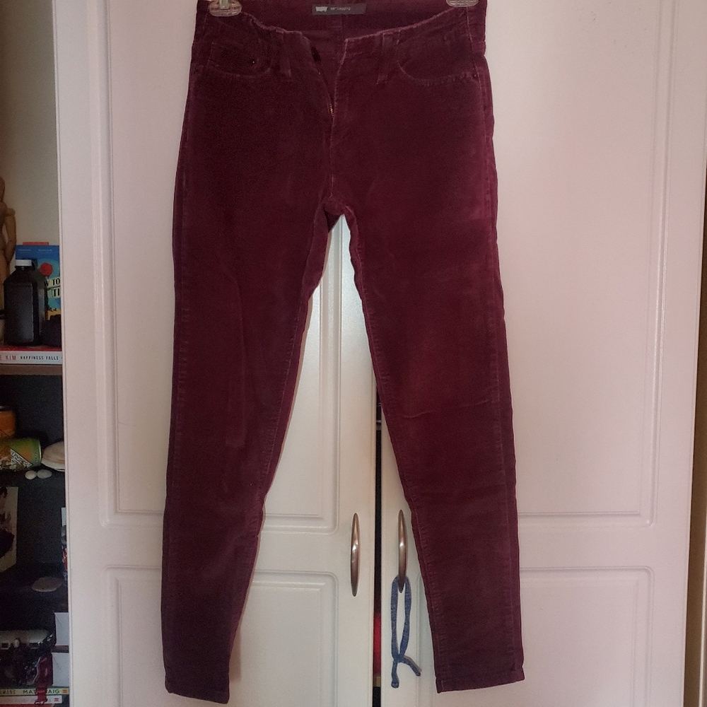 Women's Burgundy Pants